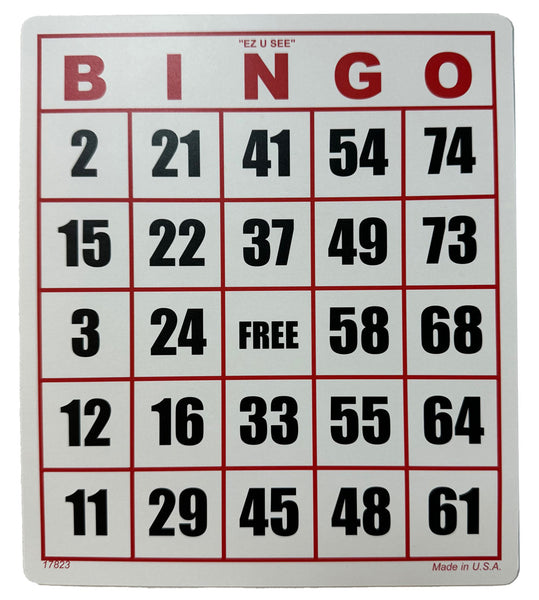 Large Print Bingo Card- Set of 25