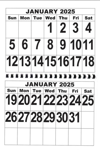 Jumbo Print 2025 Calendar!
